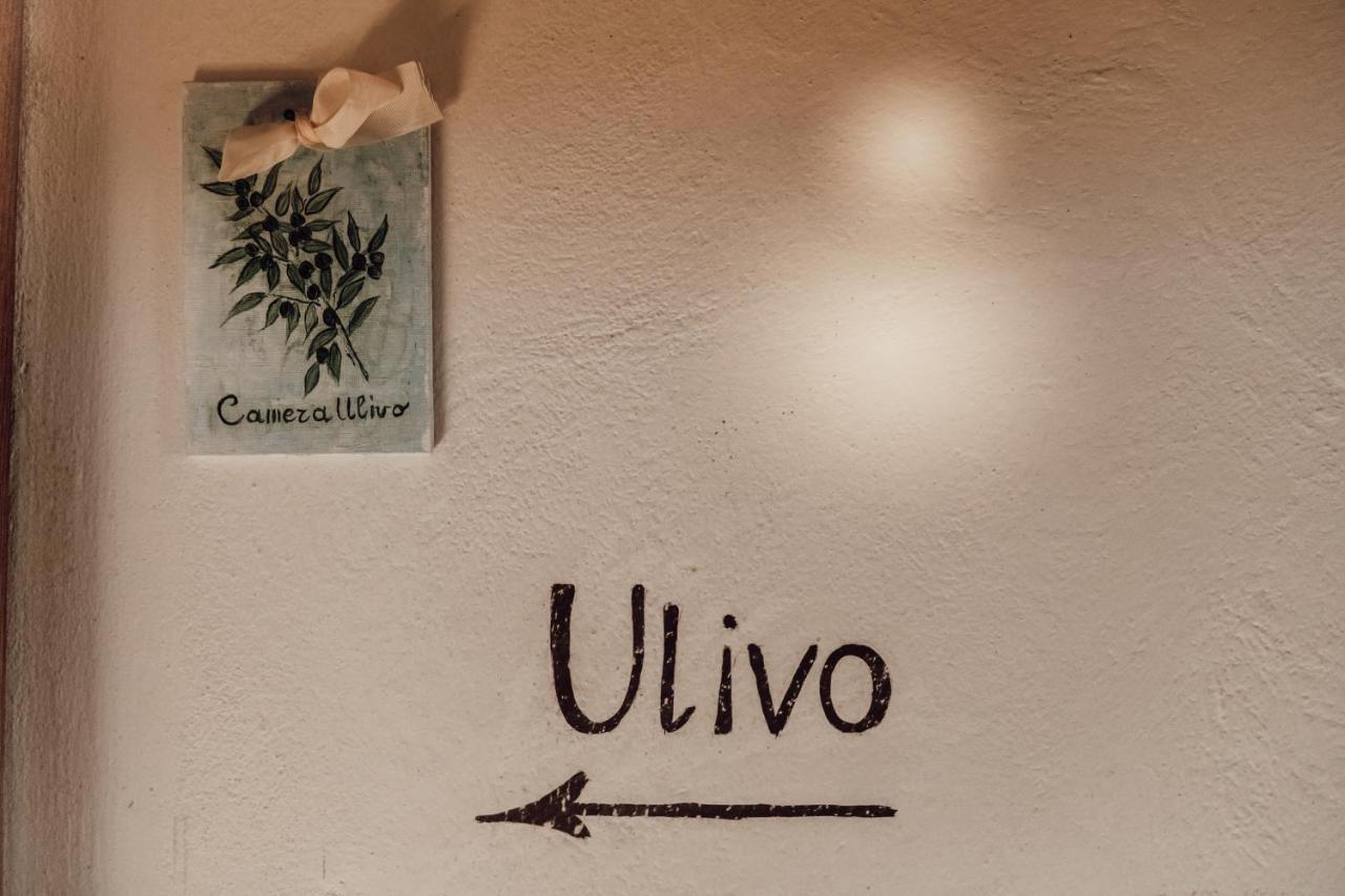 B&B Casatorre Saludecio エクステリア 写真